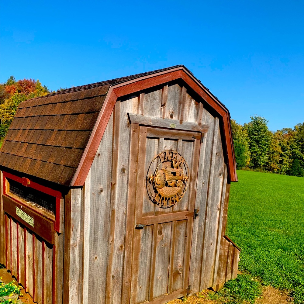 Gam rial roof chicken coop